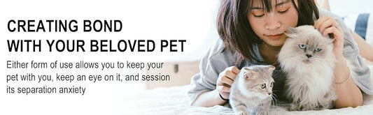 How To Choose A Dog Car Seat For Small Dog?