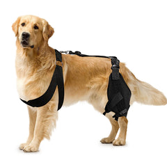 Dog Knee Pads Dog Elbow Brace Exercise Support