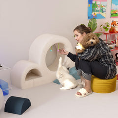6 Pcs Cat Wall Furniture Set Climbing Stairs, Shelves, Indoor Perches