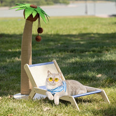 Beachside Cat Cabana Lounge