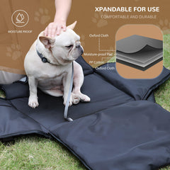 CozyRide Pro 3-in-1 Travel Buddy