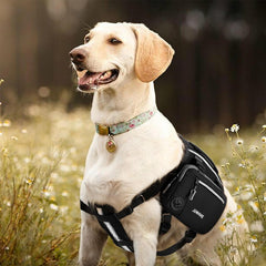 Adventure-Ready Dog Hiking Pack