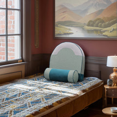 SpineSoothe Pro ErgoCushion Set