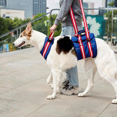 Adjustable Dog Lift Harness for Medium Dogs