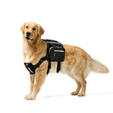 Adventure-Ready Dog Hiking Pack