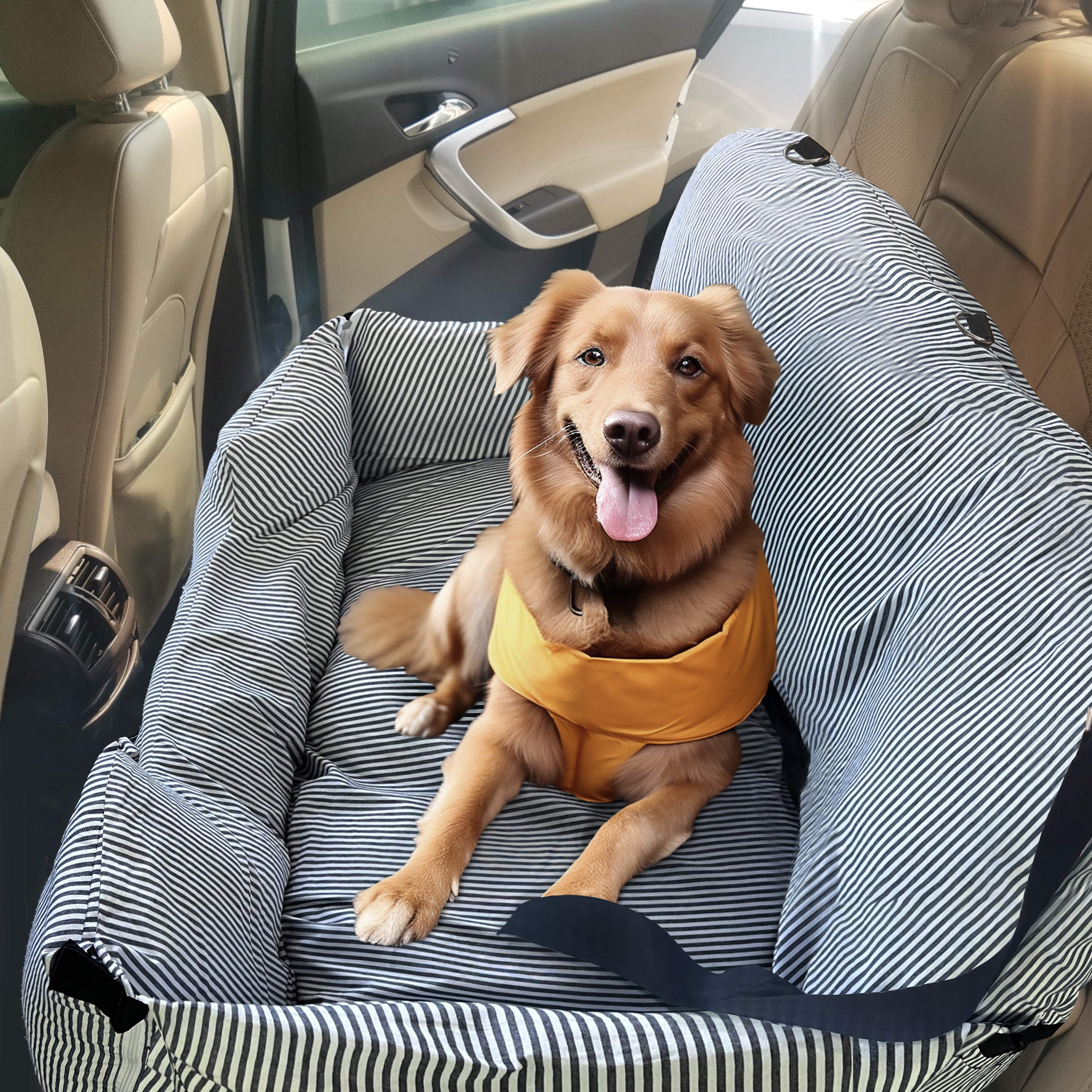Hunde-Autositz, Haustier-Reise-Sitzerhöhung mit abnehmbarem, wasserdic –  daneey