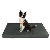 CozyGuard Max Comfort Dog Bed