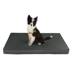 CozyGuard Max Comfort Dog Bed