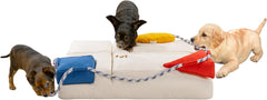 SnugQuest 2-in-1 Pet Bed