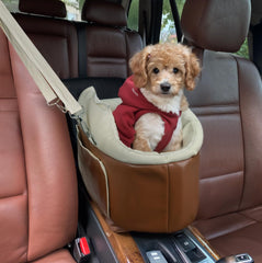 Dog Car Seat for Small Dogs