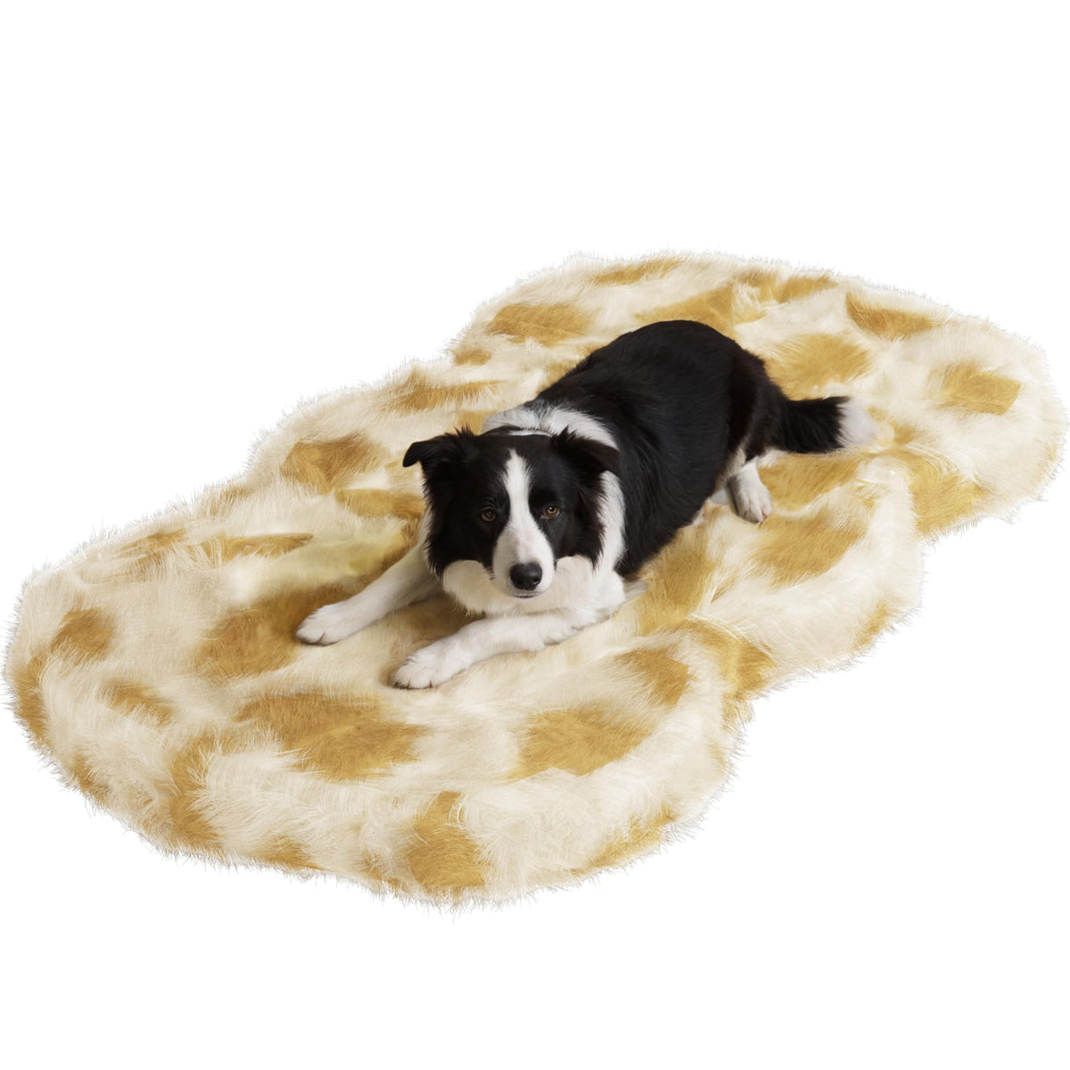 LuxeFur  Memory Foam Pet Bed