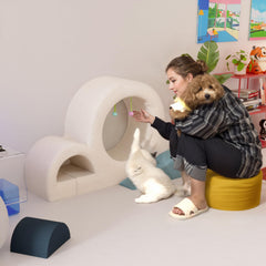 6 Pcs Cat Wall Furniture Set Climbing Stairs, Shelves, Indoor Perches