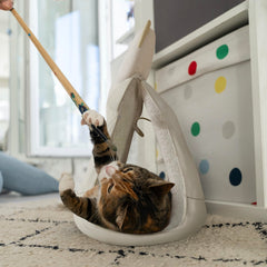 3-in-1 Cat Backpack & Cozy Cave