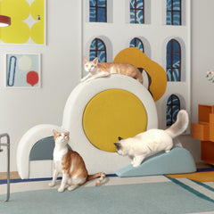 6 Pcs Cat Wall Furniture Set Climbing Stairs, Shelves, Indoor Perches