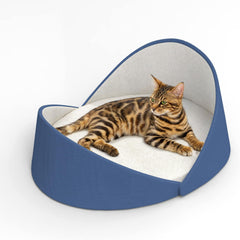 Premium Shell-Shaped Cat  - Blue