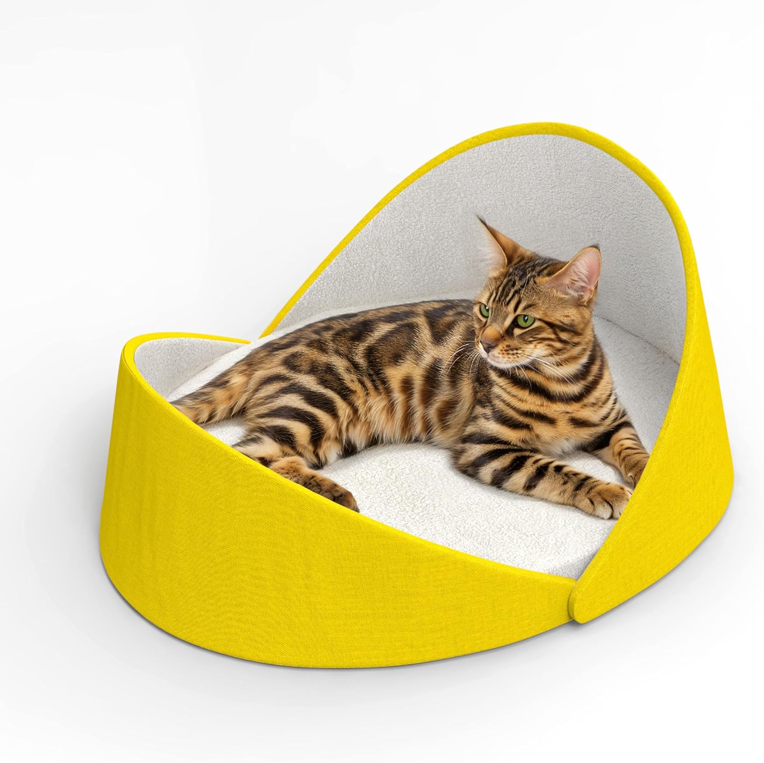 Premium Shell-Shaped Cat  - Yellow