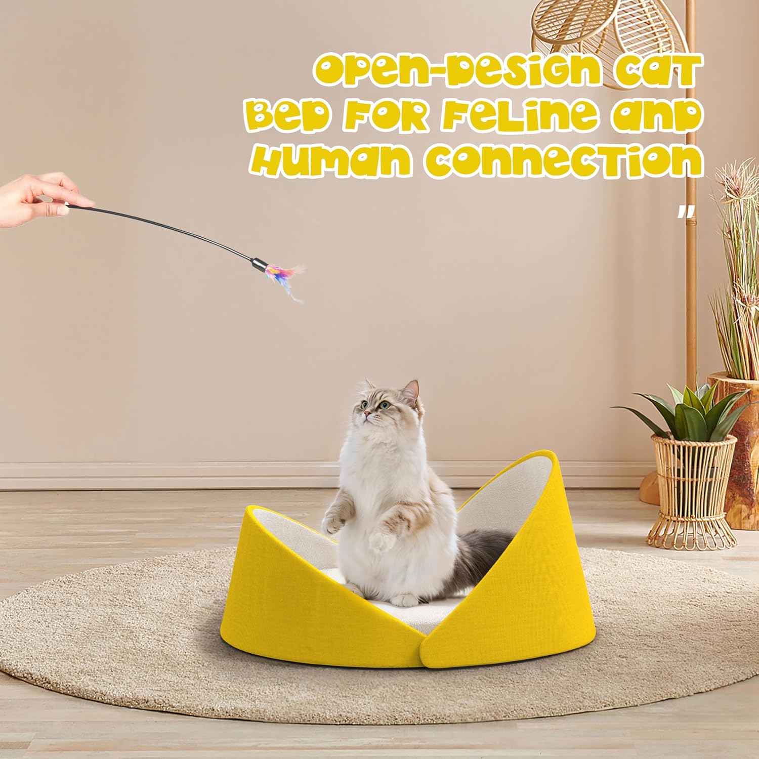 Premium Shell-Shaped Cat  - Yellow