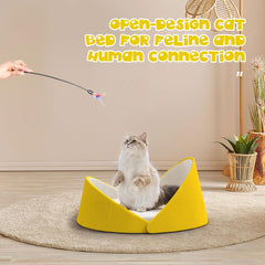 Premium Shell-Shaped Cat  - Yellow