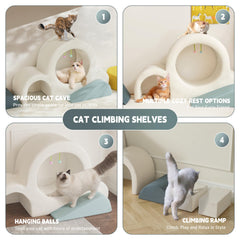6 Pcs Cat Wall Furniture Set Climbing Stairs, Shelves, Indoor Perches