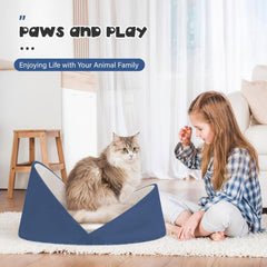 Premium Shell-Shaped Cat  - Blue