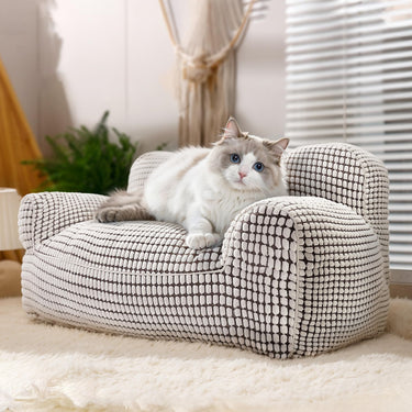 Modern Cat Sofa Bed for Cats and Small Dogs