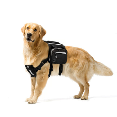Mittelgroßer Wanderrucksack für Hunde: Outdoor-Abenteuerausrüstung für Hunde