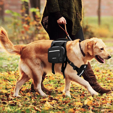 Mittelgroßer Wanderrucksack für Hunde: Outdoor-Abenteuerausrüstung für Hunde