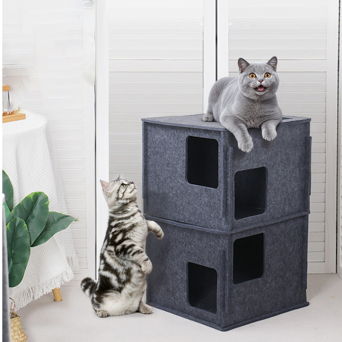 Daneey 3-Storey Peekaboo Cat Cave