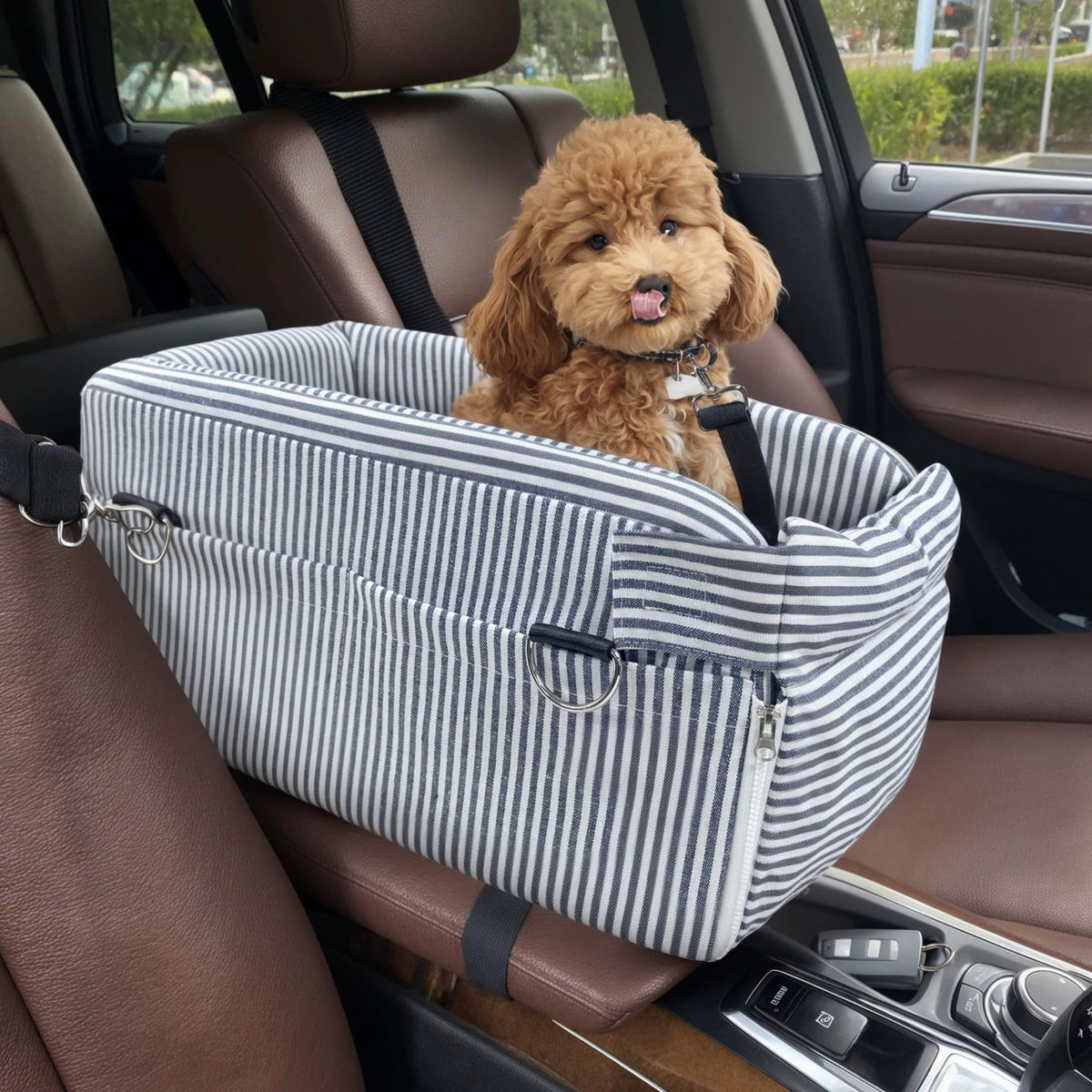 3-in-1 Travel Booster Seat for Small Dogs