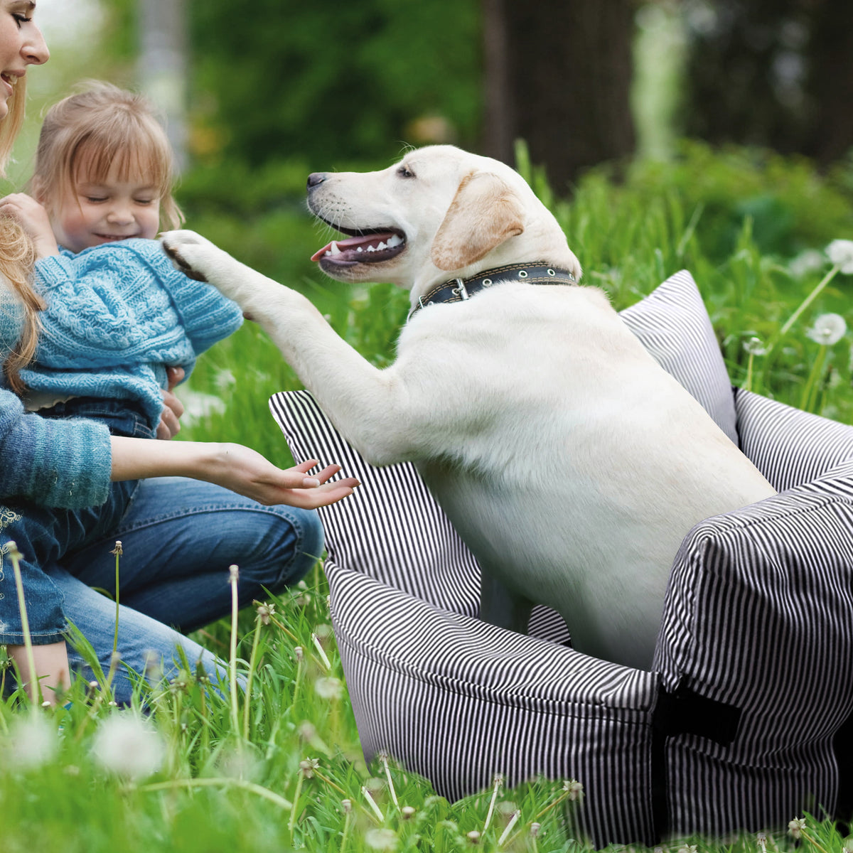 Dog Car Seat & Travel Bed